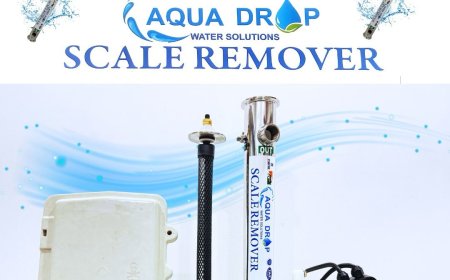 WATER SCALER REMOVER - PAN INDIA