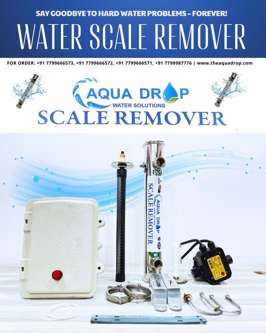 WATER SCALER REMOVER - PAN INDIA